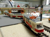 Die R&auml;stelfrage der Woche: Wie das wohl passieren konnte?