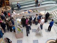 Unsere Ausstellungsanlage aus der Vogelperspektive.