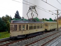 Ein Kleiner Hecht auf der Wald- und Wiesenstrecke.