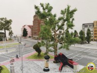 Und schon steht das neue große Gewächs