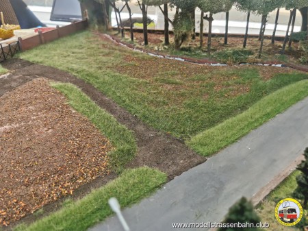 Am Moritzburger Weg wird es nun auch grün