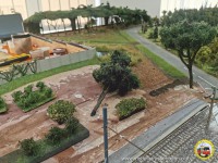 Immer mehr Sträucher und Bäume wachsen an