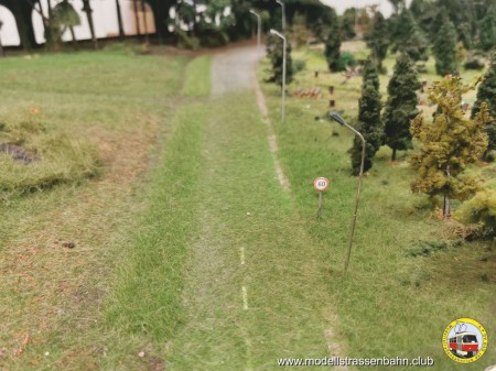 Mit viel Gras gibt es kein Ras