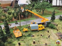 Baumfällarbeiten entlang der Straße.