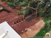 -Der kleine Weg durchs Gr&uuml;ne